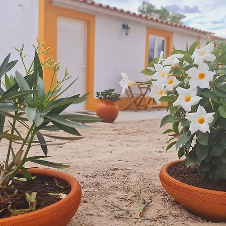 Monte Argil Apartment Montargil Bagian luar foto