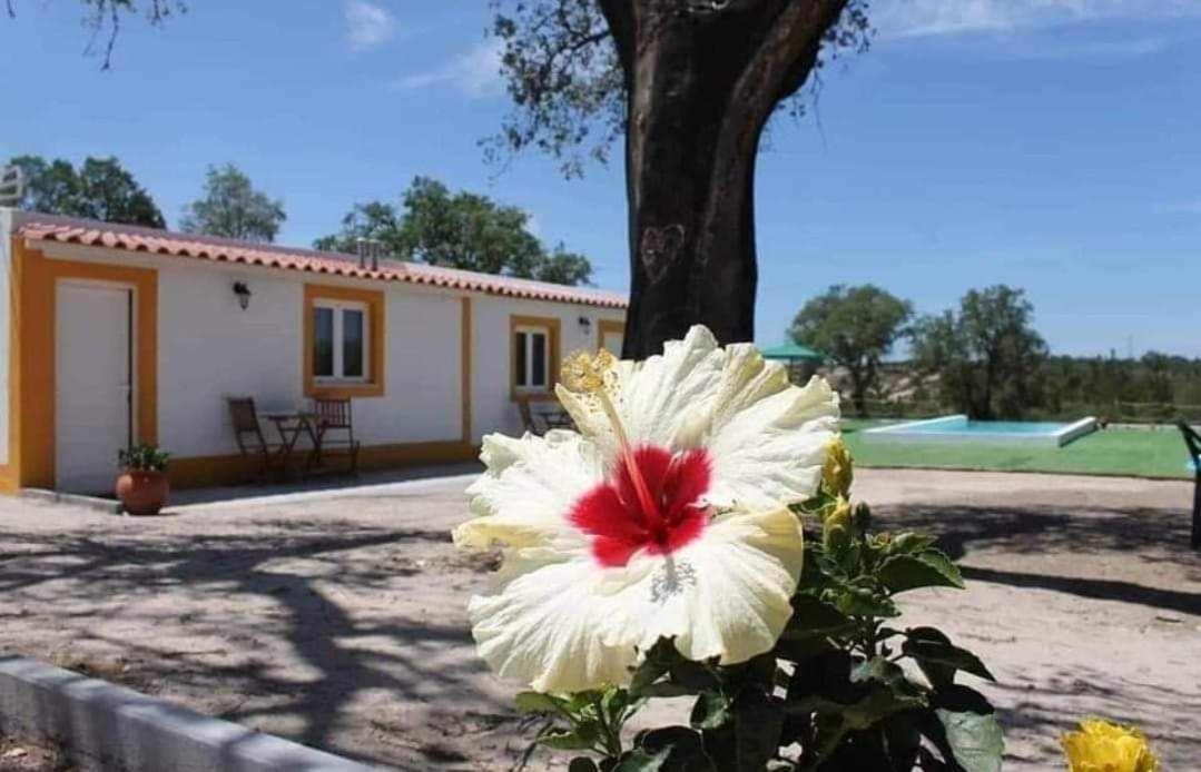 Monte Argil Apartment Montargil Bagian luar foto