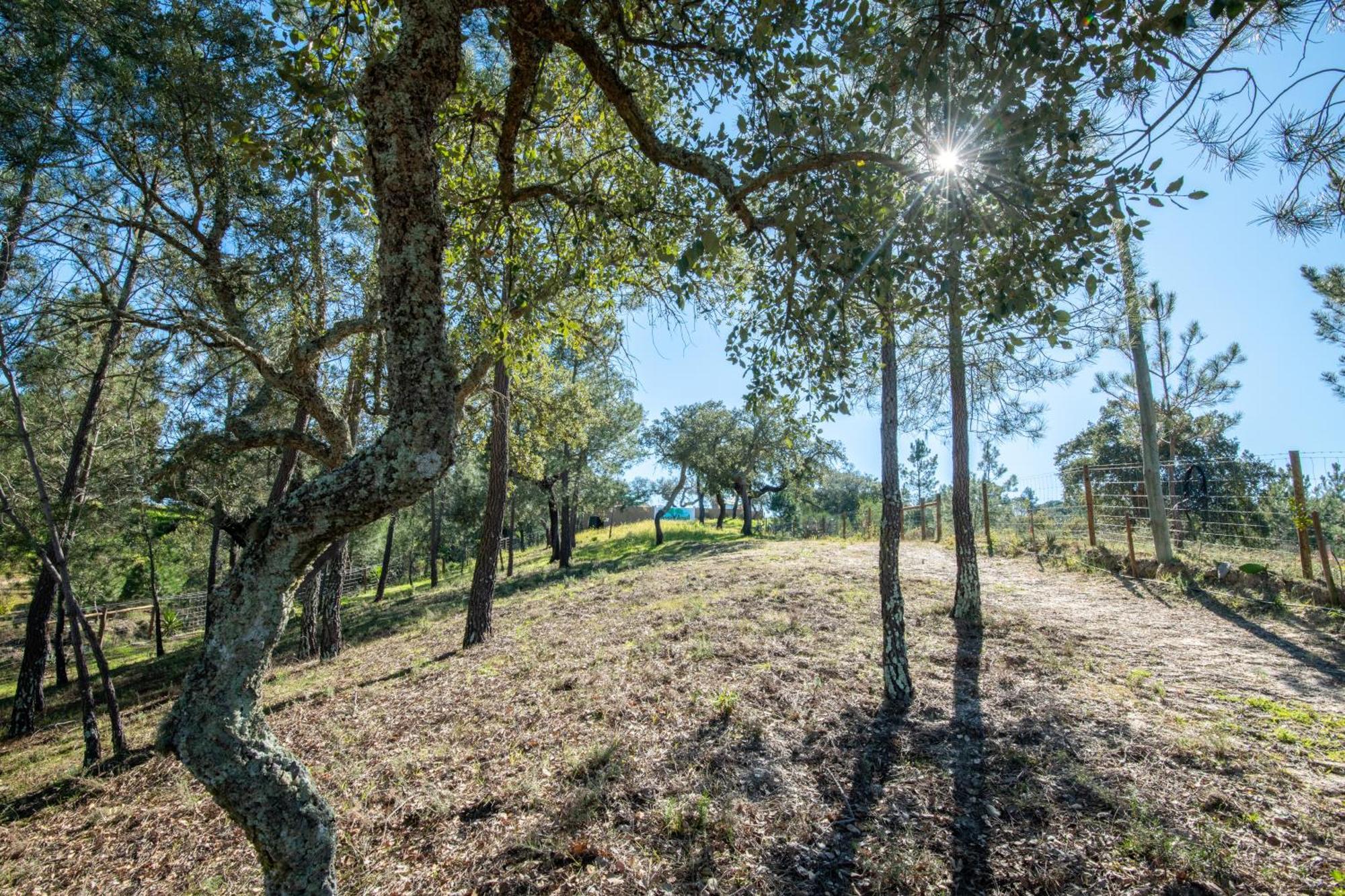 Monte Argil Apartment Montargil Bagian luar foto