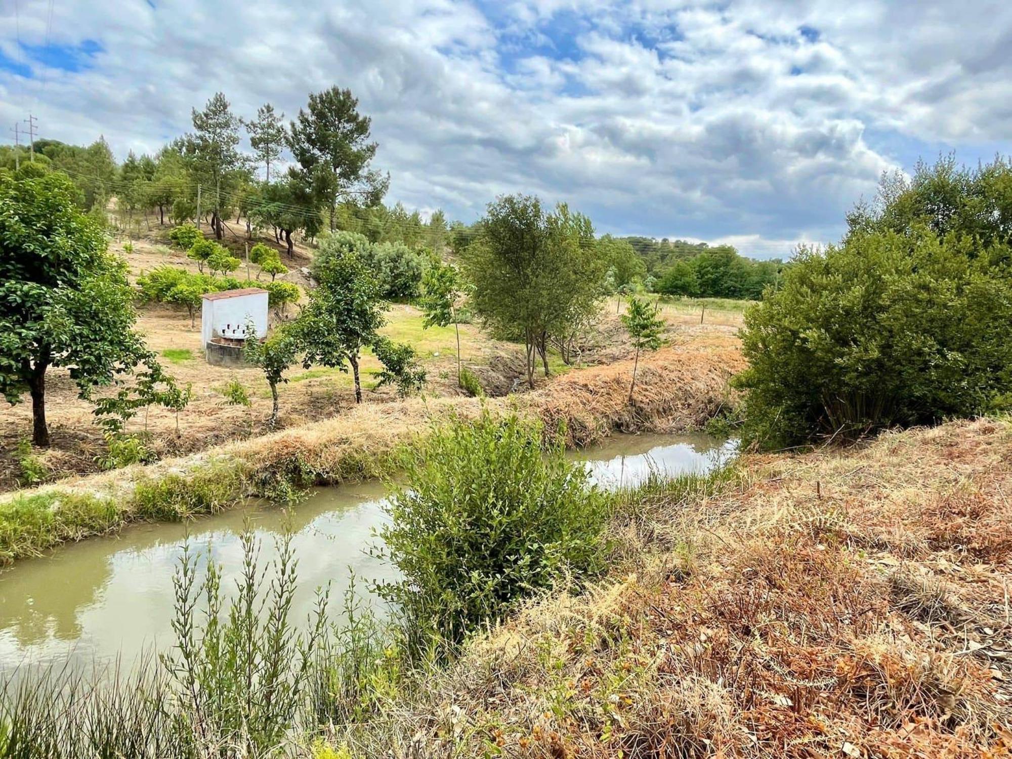 Monte Argil Apartment Montargil Bagian luar foto